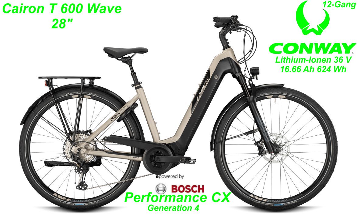 Conway Cairon T 600 Wave 28 Zoll Hardtail 2021 platin matt / black Bikes