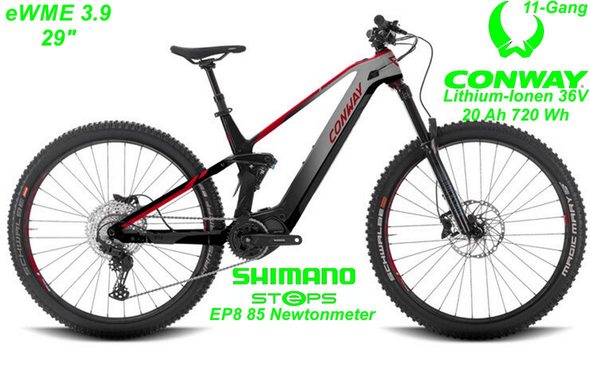E-Bike Conway 3.9 29 rot/grau E-Bike Modelle 2022 Geschft Laden Werkstatt