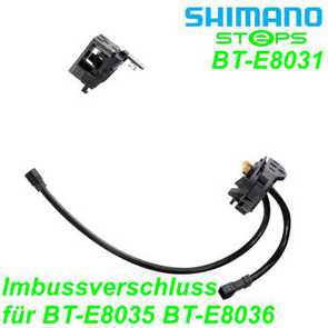 Shimano Steps Halter integrierter Rahmenakku BM-E8031 250 400 mm Imbussverschluss Ersatzteile Balsthal